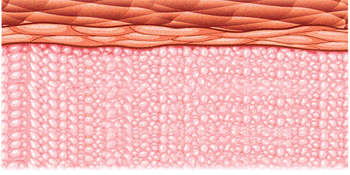 Comparison of Product Effectivity - For Joint Pains - Fastum Gel